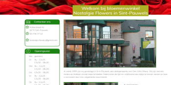 project nostalgieflowers flowers screen1